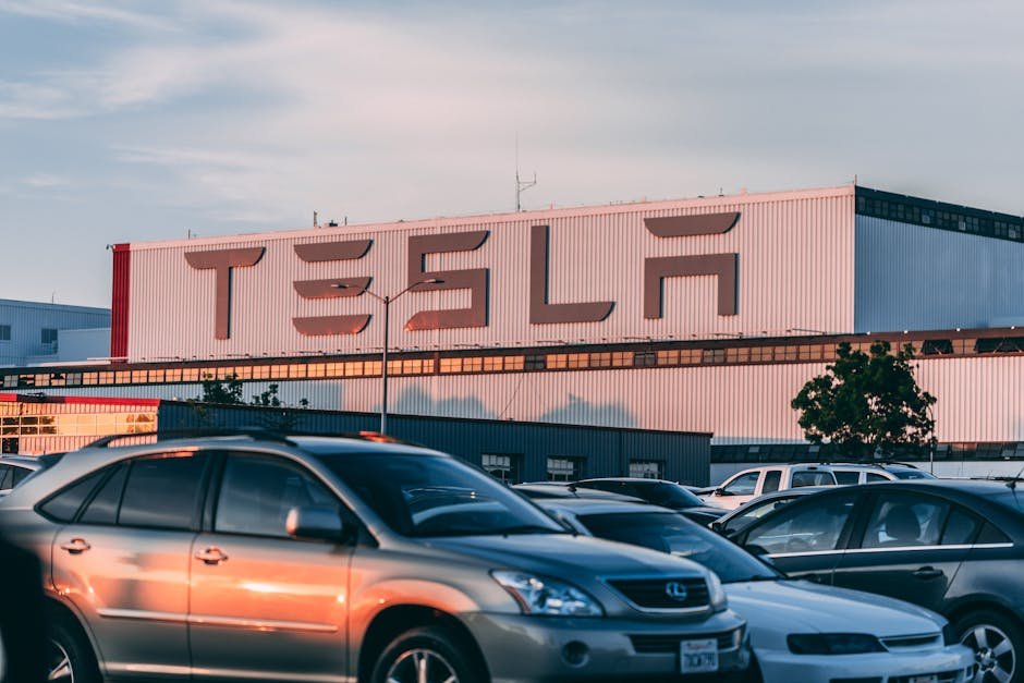 where-will-tesla-stock-be-in-five-years?