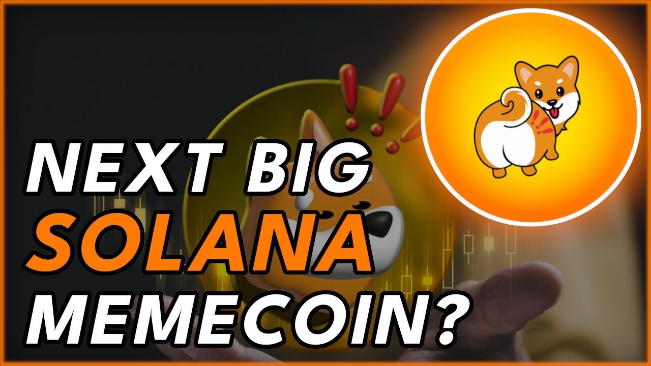 solana-memecoin-mew-partners-with-locus-animation-studio-to-create-new-3d-animated-series