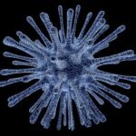 disease-outbreak-news:-dengue-–-global-situation-(30-may-2024)-–-world